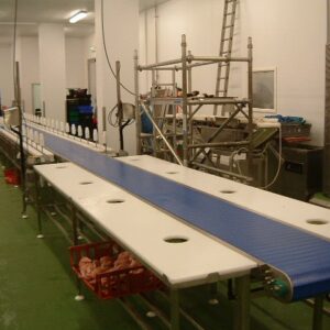 Specialist Suppliers of Food Production Conveyor Systems