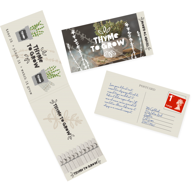 10 Stick Postcard Seedstick®