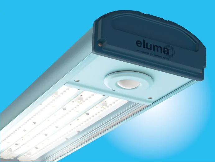 Low-Level LED Lighting For Energy Efficiency