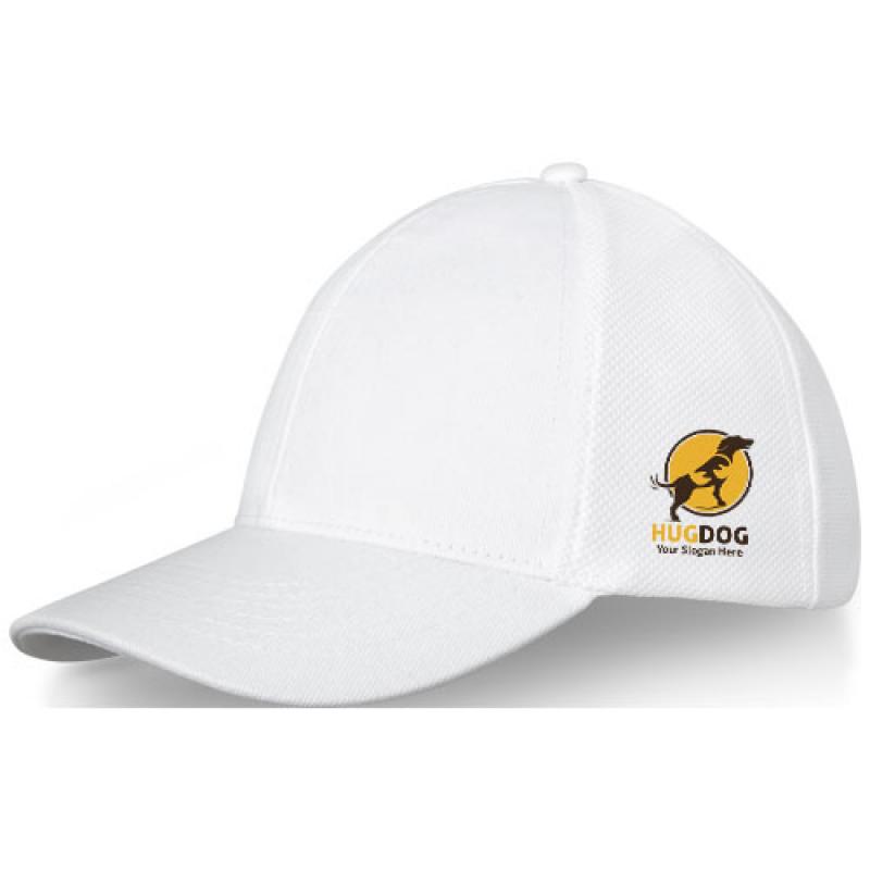 Drake 6�panel cotton trucker cap