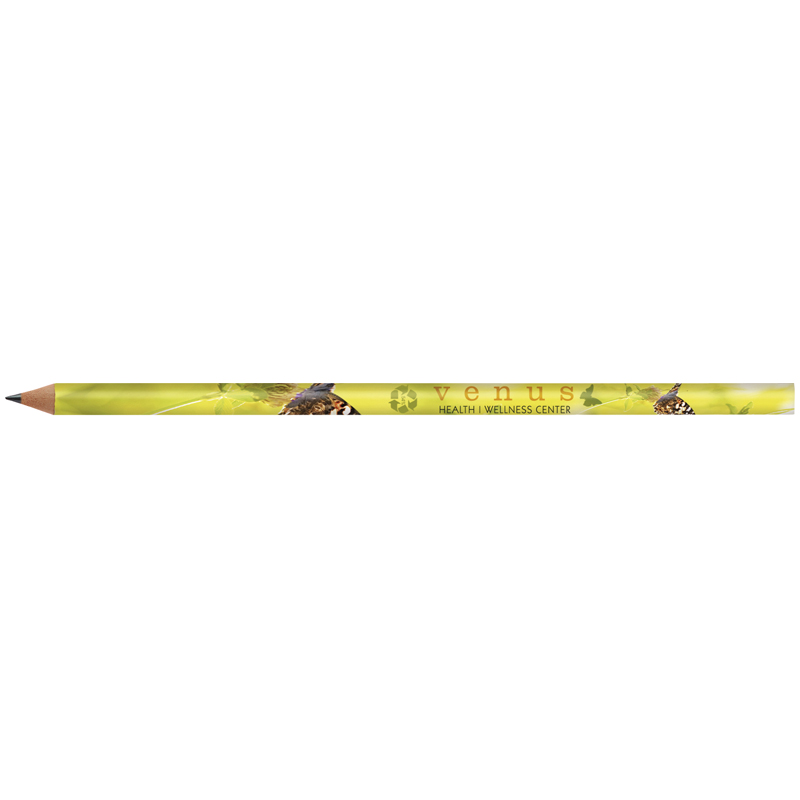 BIC&#174; Evolution Classic Cut End Digital Ecolutions&#174; Pencil