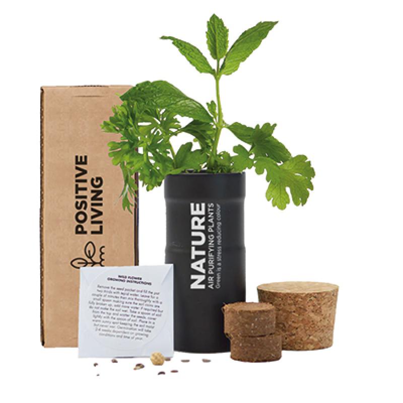 Desktop Garden