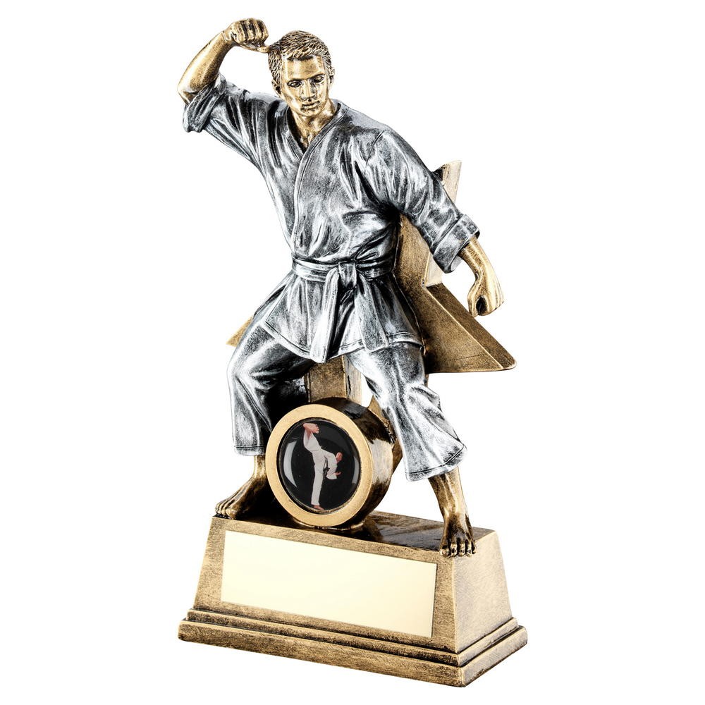 Male Martial Arts Two Tone Award - 3 Sizes