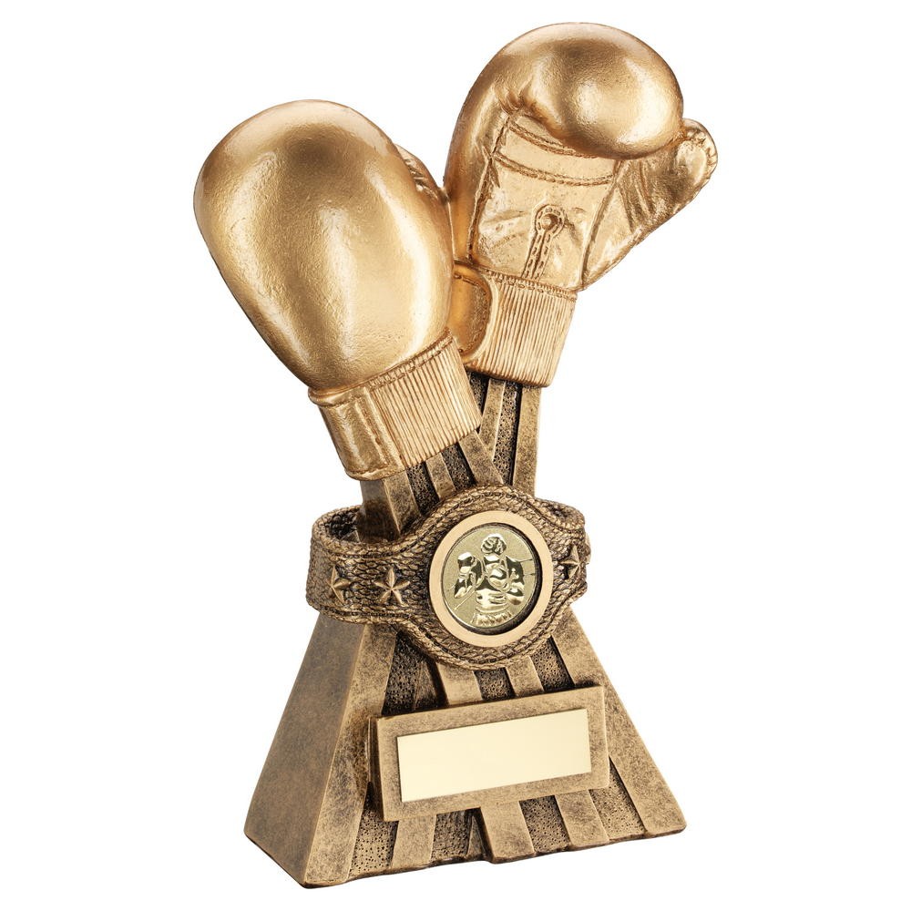 Resin Boxing Gloves Award - 3 sizes