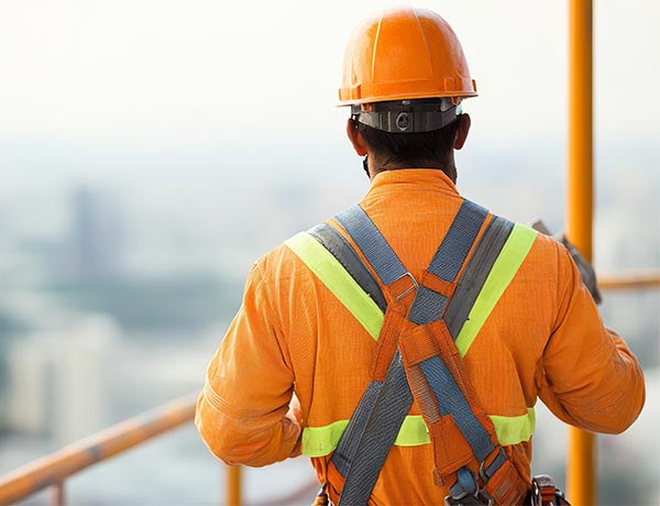 Scaffold Awareness