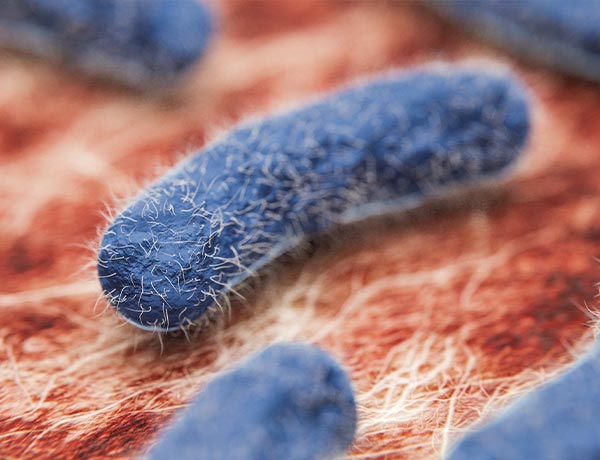 Legionella Management & Responsible Person