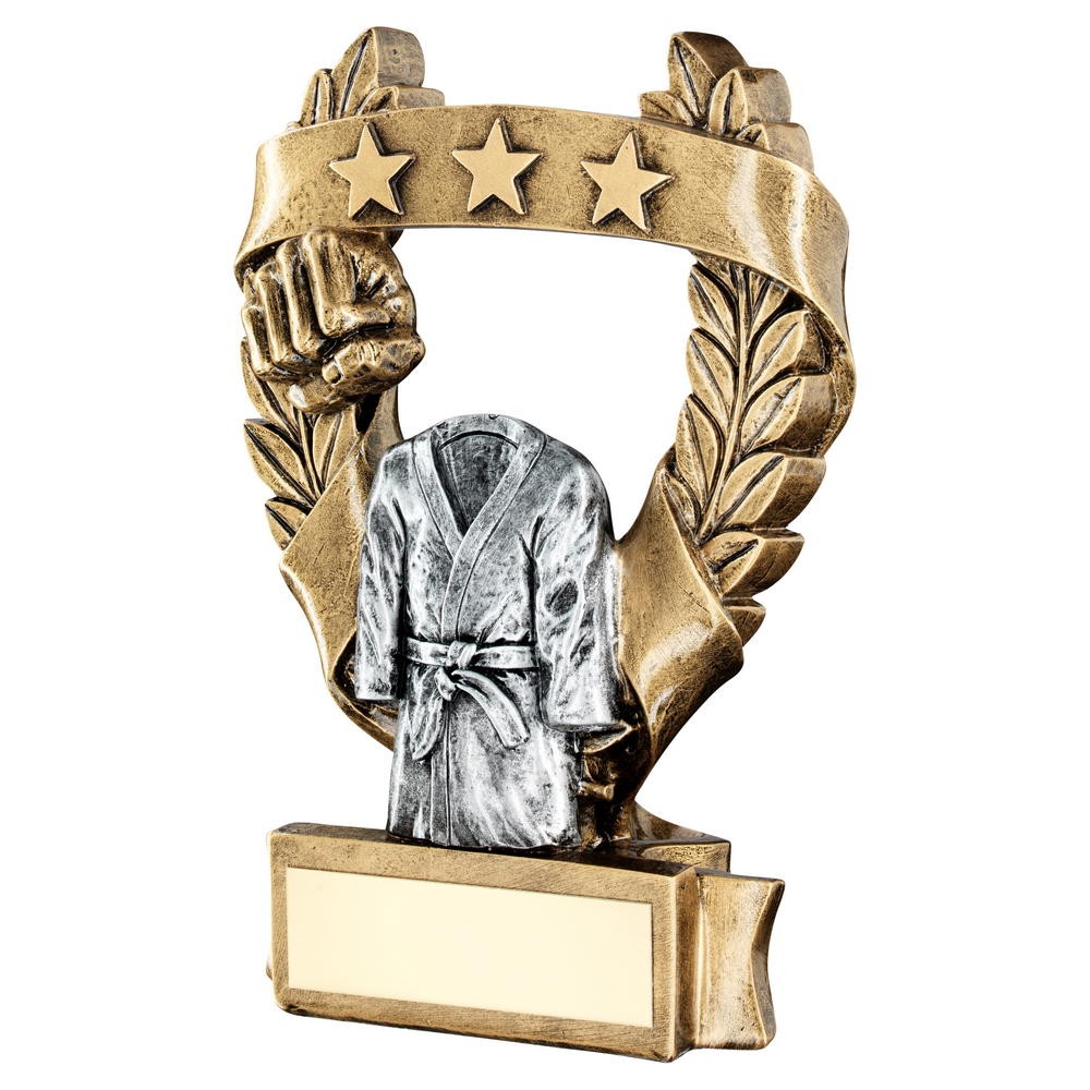 2 Tone Martial Arts Award - 3 Sizes