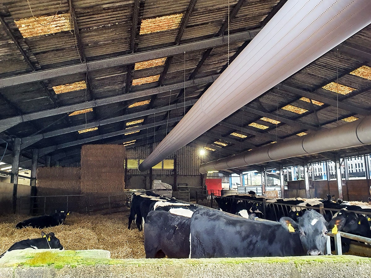 Fabric Ducting For Cattle Sheds