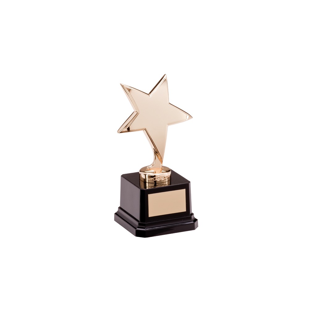 Challenger Star Award - 2 colours / 2 sizes