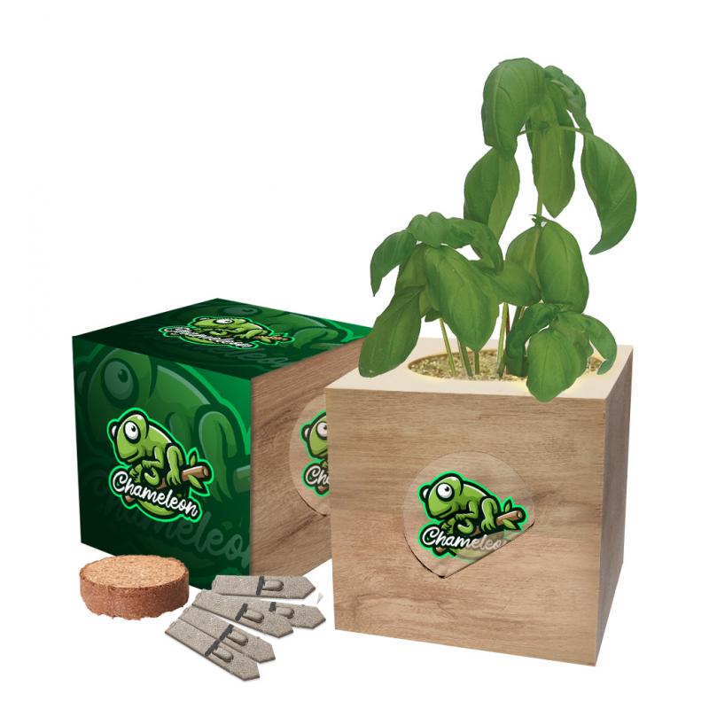 Desktop Cube Gardens