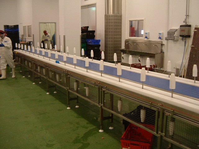 Specialist Suppliers of Cone De-Boning Conveyor