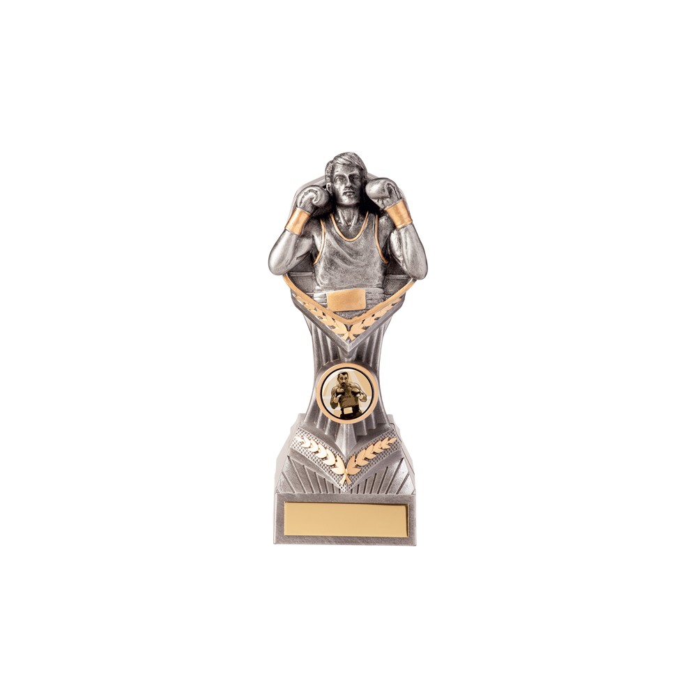 Falcon Boxing Award - 5 sizes