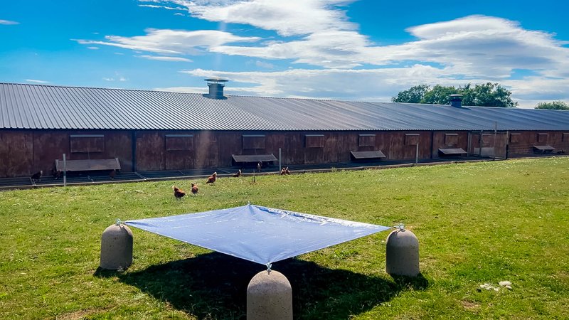 Free Range Poultry Shelter Set