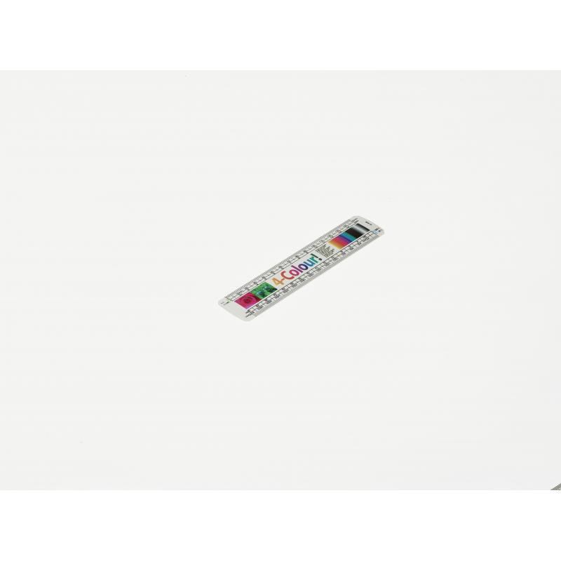 Oval Scale Ruler 6"