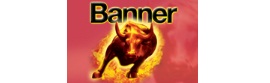 Banner Batteries GB Ltd