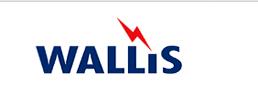 A N Wallis and Co Ltd