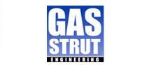 Gas Strut Engineering