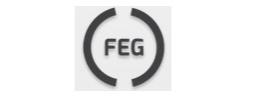 FEG Ltd
