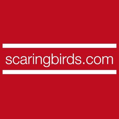 Scaringbirds.com Ltd