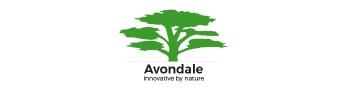 Avondale Environmental Services Ltd	