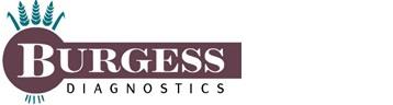 Burgess Diagnostics Ltd