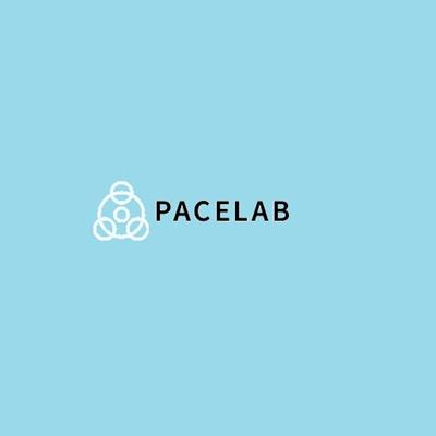 Pacelab Technology Private Limited