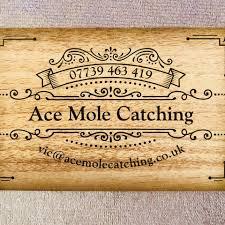 Ace Mole Catching