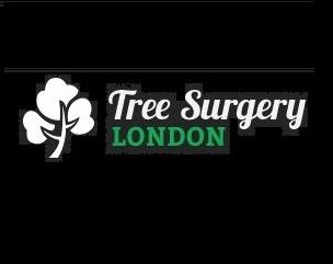 Tree Surgery London - Gardeners Wandsworth