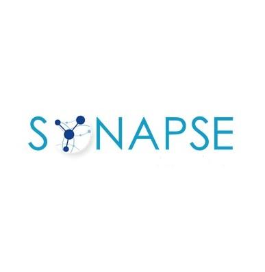 Synapse Information