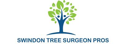 Swindon Tree Surgeon Pros