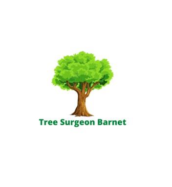 Tree Surgeon Barnet