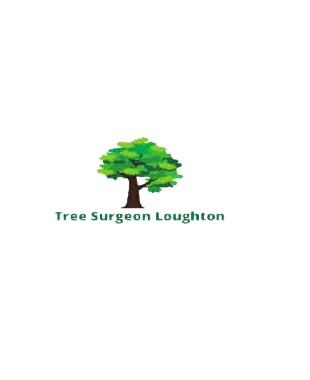 Tree Surgeon Loughton