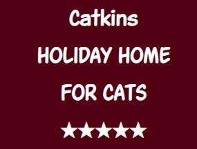 Catkins Holiday Home for Cats