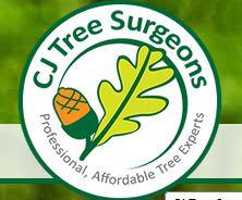 CJ Tree Surgeons