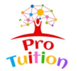 Pro-Tuition Essex Ltd