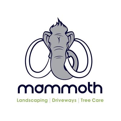 Mammoth Services Ltd