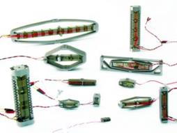 Piezo Actuators for Astronomical Instrumentation