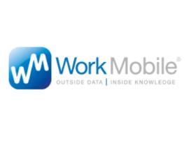 Interlink Work Mobile Phone