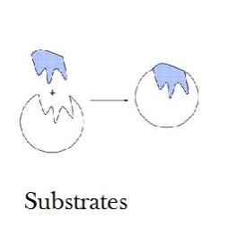 Substrates