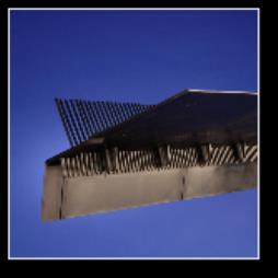 Over-Fascia Vented Eaves Protector and Bird Comb