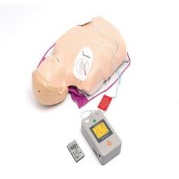 CPR/AED Manikins