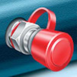 Caps & Plugs - Caps Grease Nipple