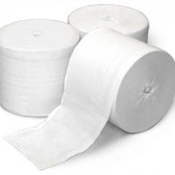 Coreless 2ply Toilet Rolls
