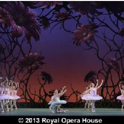 Royal Opera House Set