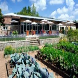 Yeo Valley Organic Cafe and Garden