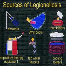L8 Legionella Control
