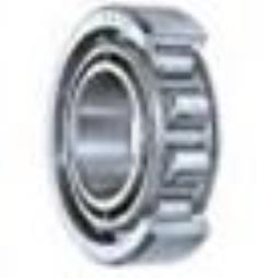 Codex Cylindrical Roller Bearings