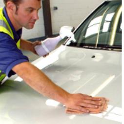 Manheim DeFleet Services