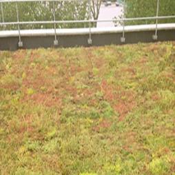GREEN Roofing