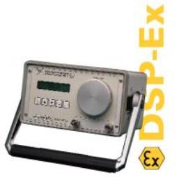 Portable Dew Point Meter-Model DSP-Ex